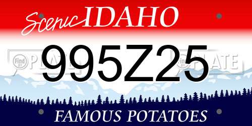 995Z25 Idaho License Plate