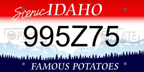 995Z75 Idaho License Plate