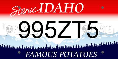 995ZT5 Idaho License Plate