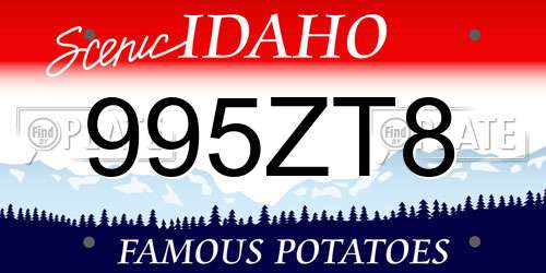 995ZT8 Idaho License Plate