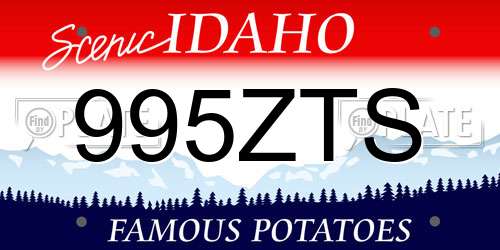 995ZTS Idaho License Plate