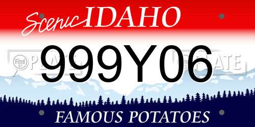 999Y06 Idaho License Plate