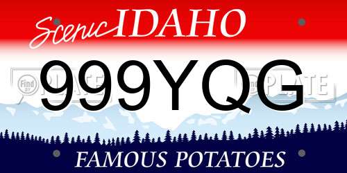 999YQG Idaho License Plate