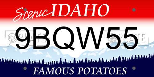 9BQW55 Idaho License Plate