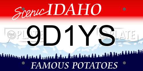 9D1YS Idaho License Plate