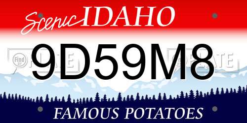 9D59M8 Idaho License Plate