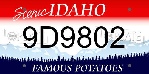 9D9802 Idaho License Plate