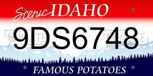 9DS6748 Idaho License Plate