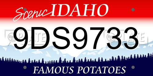 9DS9733 Idaho License Plate