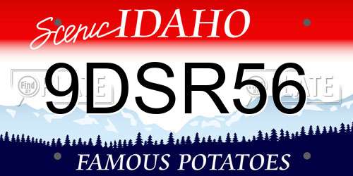 9DSR56 Idaho License Plate