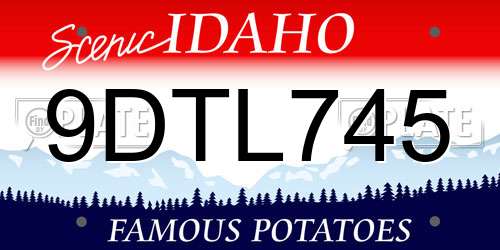 9DTL745 Idaho License Plate