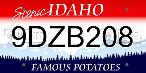 9DZB208 Idaho License Plate
