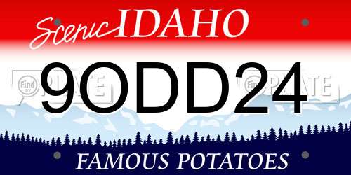 9ODD24 Idaho License Plate