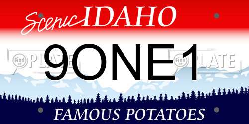 9ONE1 Idaho License Plate