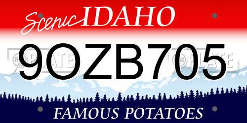 9OZB705 Idaho License Plate