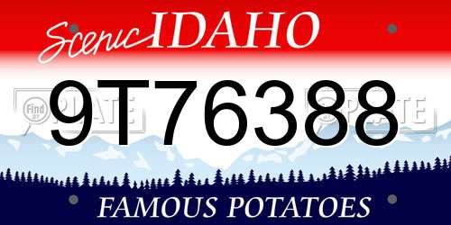 9T76388 Idaho License Plate