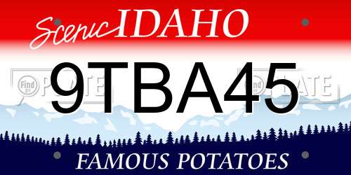 9TBA45 Idaho License Plate