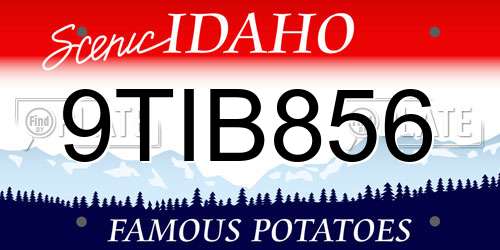 9TIB856 Idaho License Plate
