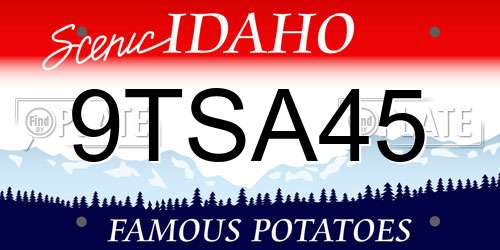 9TSA45 Idaho License Plate