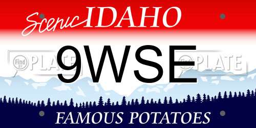 9WSE Idaho License Plate