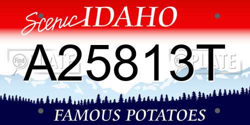 A25813T Idaho License Plate