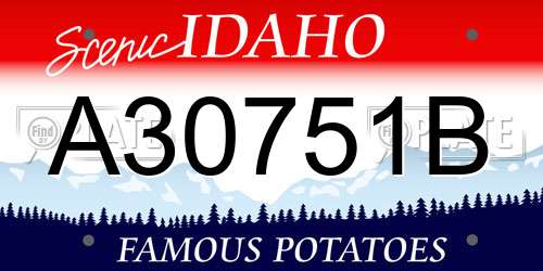 A30751B Idaho License Plate