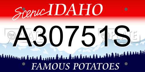 A30751S Idaho License Plate
