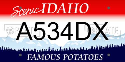A534DX Idaho License Plate
