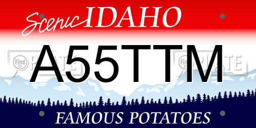 A55TTM Idaho License Plate