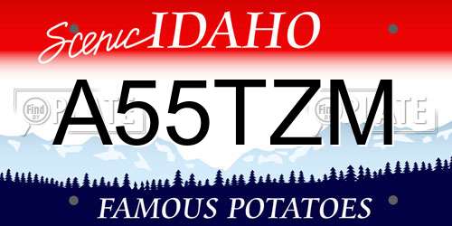 A55TZM Idaho License Plate