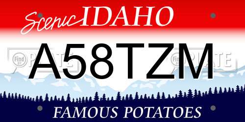 A58TZM Idaho License Plate