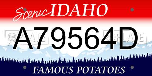 A79564D Idaho License Plate