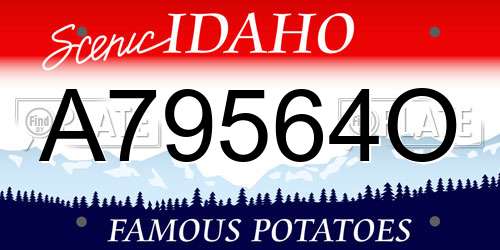 A79564O Idaho License Plate