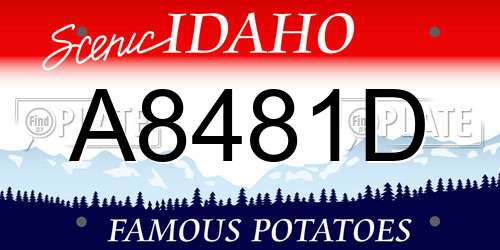 A8481D Idaho License Plate