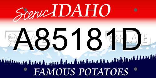 A85181D Idaho License Plate