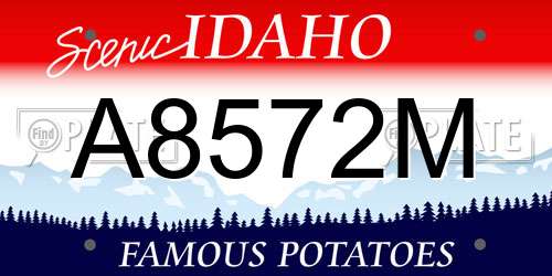 A8572M Idaho License Plate
