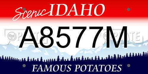 A8577M Idaho License Plate