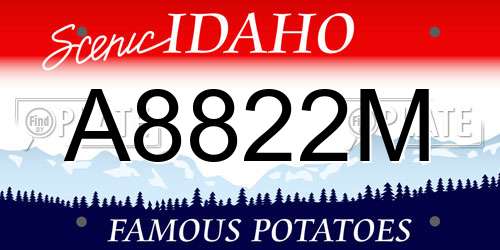 A8822M Idaho License Plate