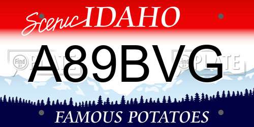 A89BVG Idaho License Plate