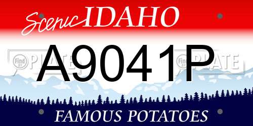 A9041P Idaho License Plate