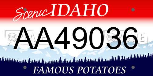 AA49036 Idaho License Plate