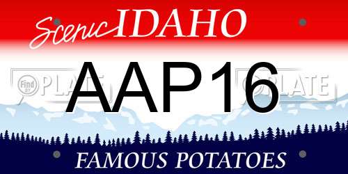 AAP16 Idaho License Plate