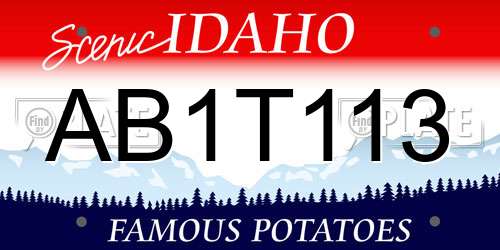 AB1T113 Idaho License Plate