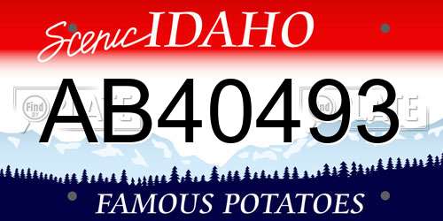 AB40493 Idaho License Plate