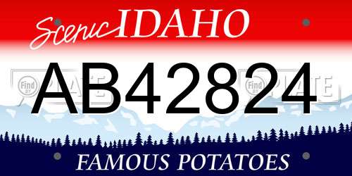 AB42824 Idaho License Plate