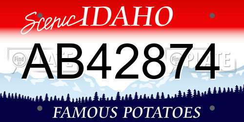 AB42874 Idaho License Plate