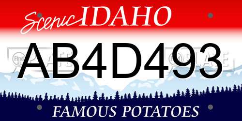 AB4D493 Idaho License Plate
