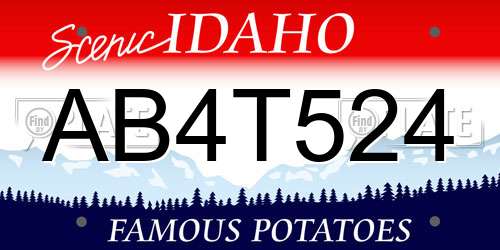 AB4T524 Idaho License Plate