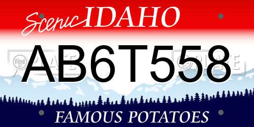 AB6T558 Idaho License Plate