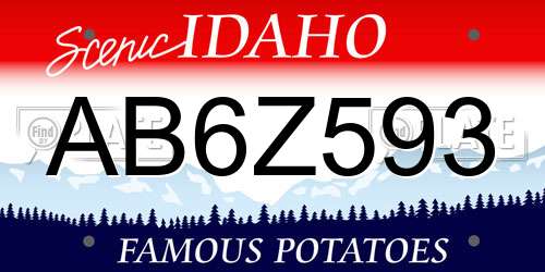 AB6Z593 Idaho License Plate